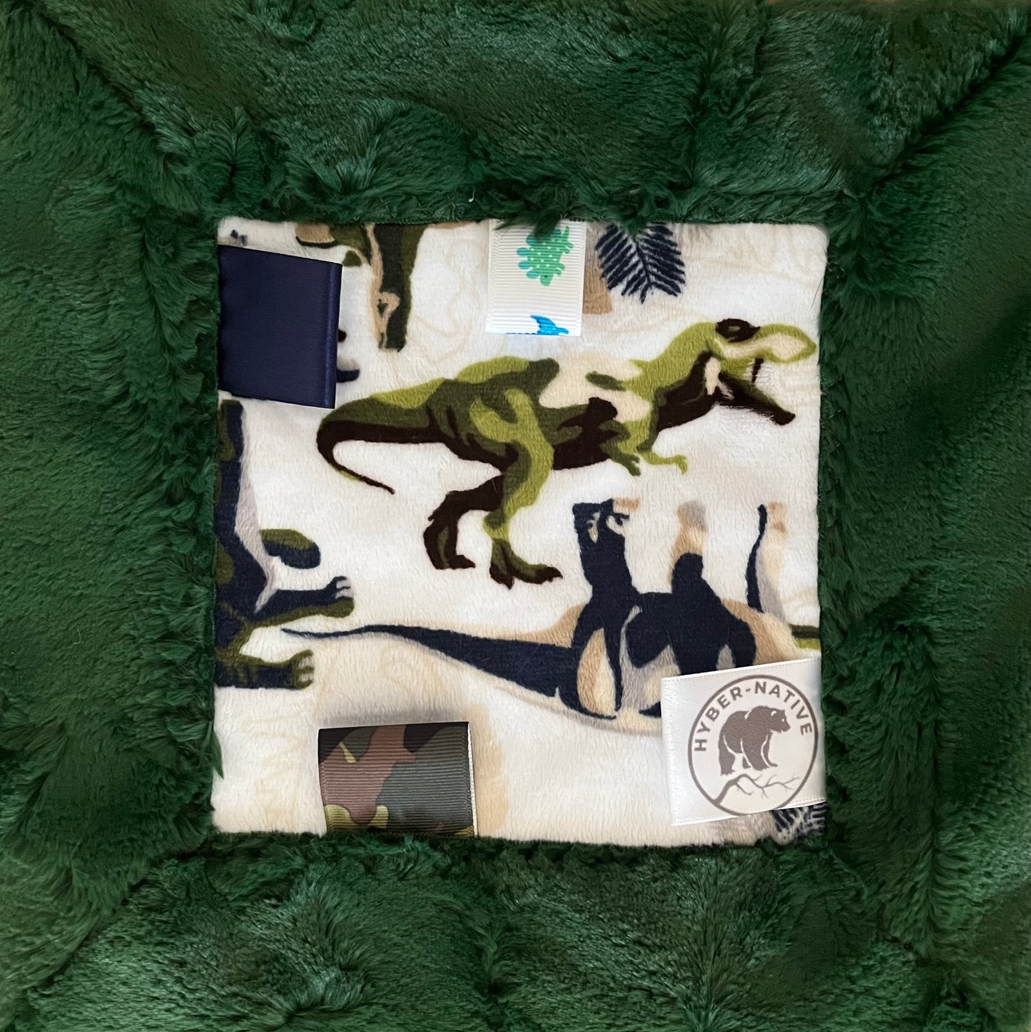 Dinotopia Fidget