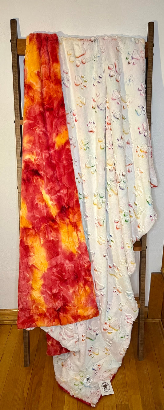 Prism Paws Vibrant/Sorbet Firecracker Summit Throw